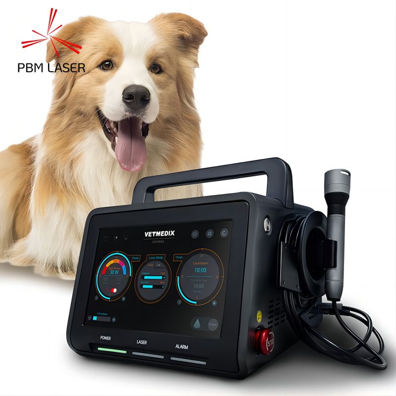 Kakšna stanja je mogoče zdraviti z veterinarskimi laserji?