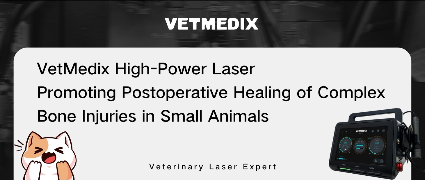 VetMedix Case Sharing丨Zdravljenje sekundarnega zloma tibiofibule pri živalih z visokozmogljivim laserjem