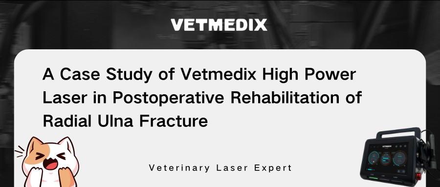 Vetmedix Skupna raba primera 丨 Laserska terapija z visoko močjo pri pooperativni rehabilitaciji radialnega zloma ulne