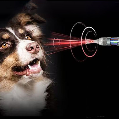 Zakaj uporabljati laser razreda IV v veterinarski medicini?