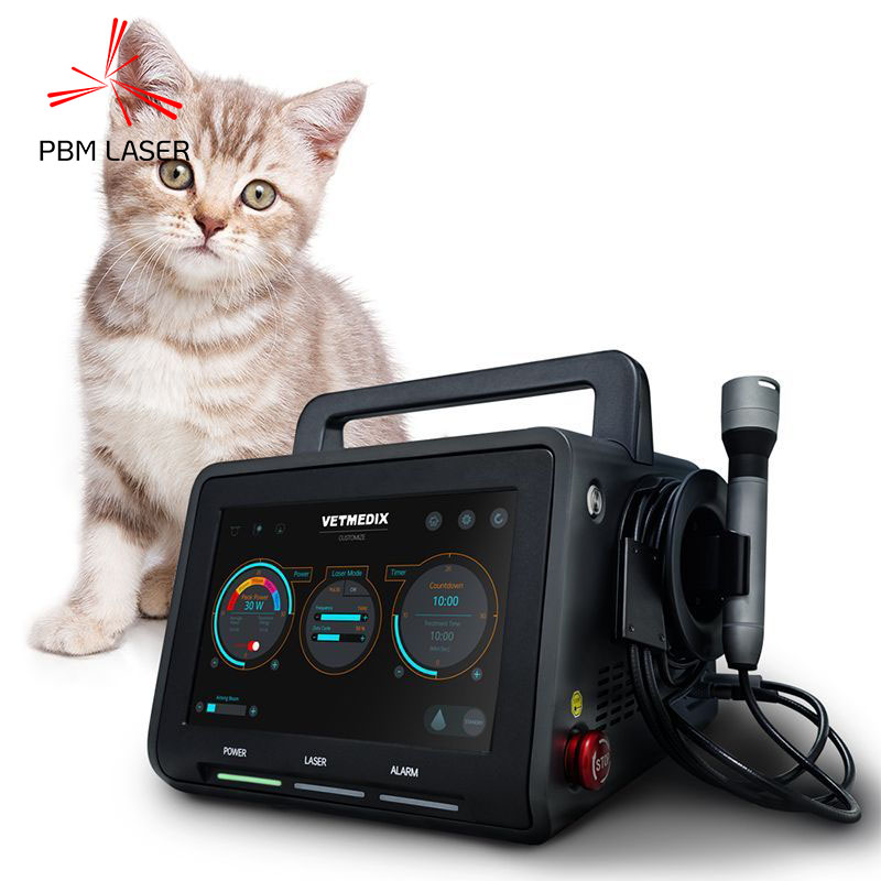 Veterinarski laser za svetlobno terapijo za male živali razreda 4